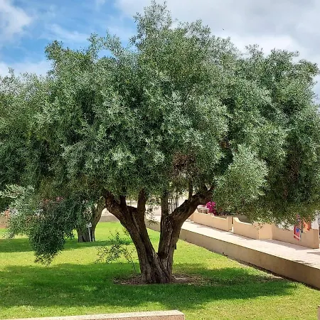 Casa Mirador *